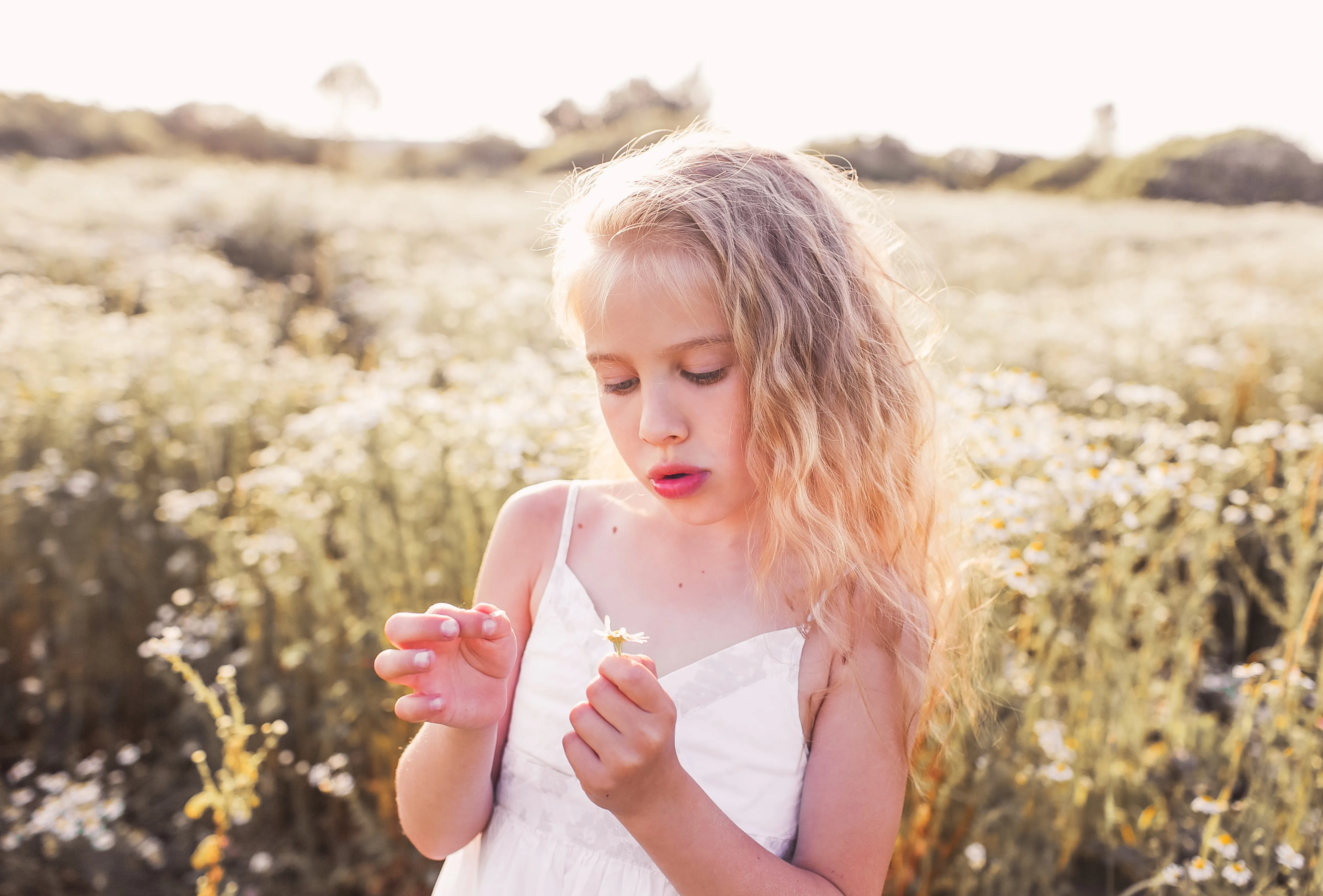 Petite fille qui enlève les pétales d'une fleur dans un champs de fleurs